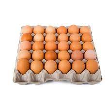 One Crate Of Egg 24