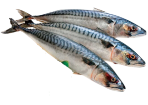 Titus Fish 1kg - Frozen