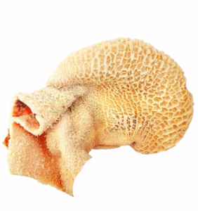 Shaki ~250g