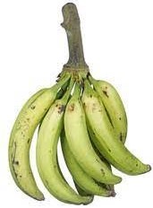 Plantain