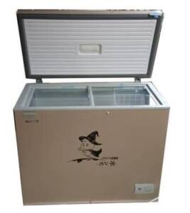 Snowsea Chest Freezer BD-258L