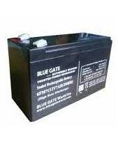 BLUEGATE BATTERYY 12V 7AHS