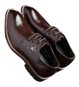 Men Shoe