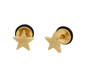 Simple Sand Dust Star Screw back Stud Earring