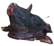Cow Head