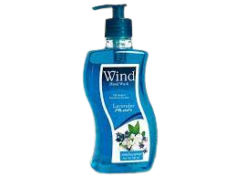 Wind Hand Wash 500ml