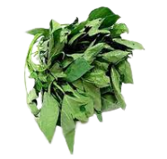 Fresh Bitter Leaf