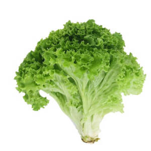 Lettuce 250g