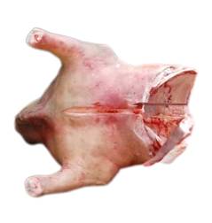 Half Medium Cow