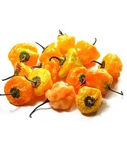 Fresh Pepper Yellow 7pcs (small basket)